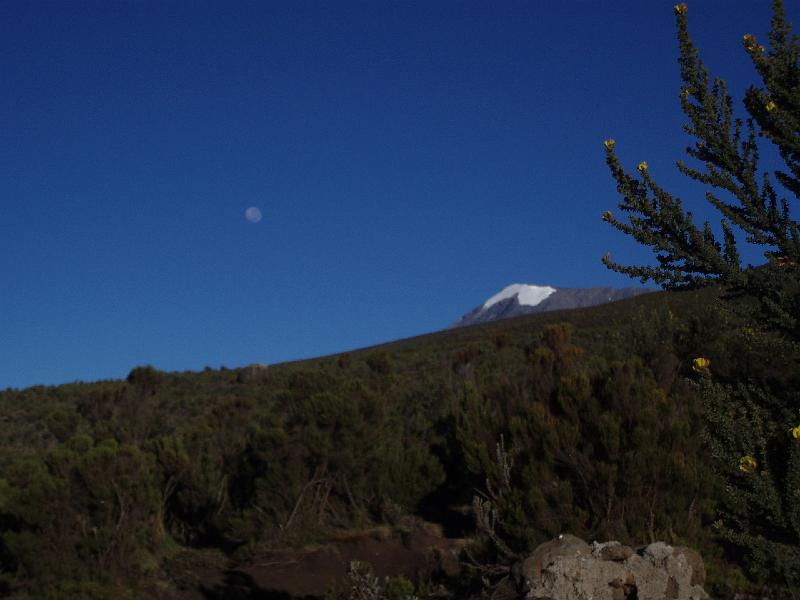 1.JPG - weit weg leuchtet die Schneespitze des Kili