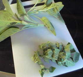 salbei